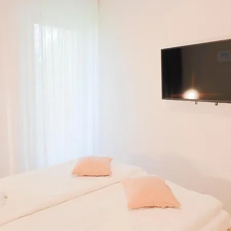 Ms Pro Comfort Kolo Brzegu Z Mini * Kolberg