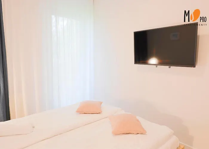 Ms Pro Comfort Koło Brzegu Z Mini * Kołobrzeg