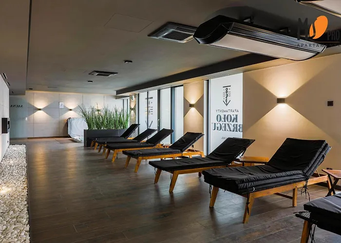 Ms Pro Comfort Koło Brzegu Z Mini *