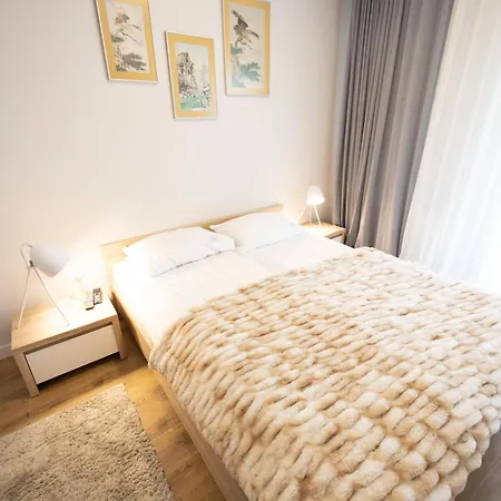 Ms Pro Comfort Kolo Brzegu Z Mini