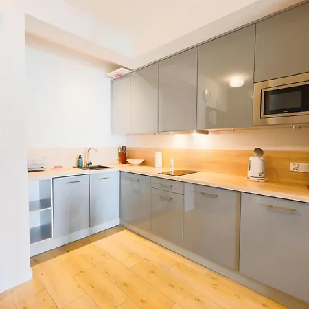 Apartment Ms Pro Comfort Kolo Brzegu Z Mini