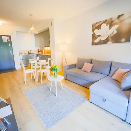 Apartment Ms Pro Comfort Kolo Brzegu Z Mini