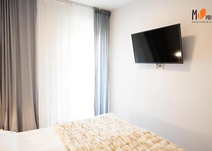 Ms Pro Comfort Kolo Brzegu Z Mini