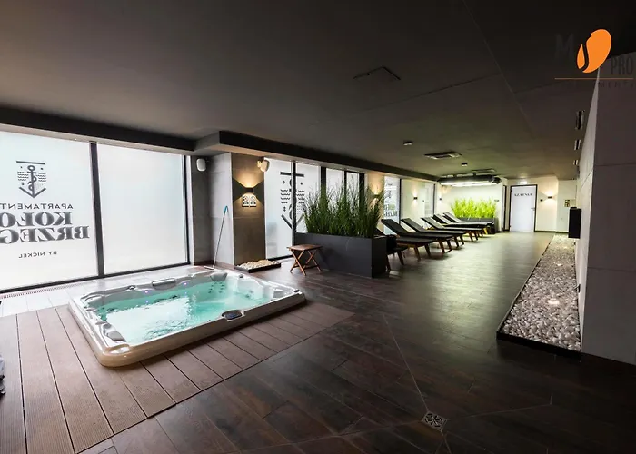 Ms Pro Comfort Kolo Brzegu Z Mini * קולובז'ג